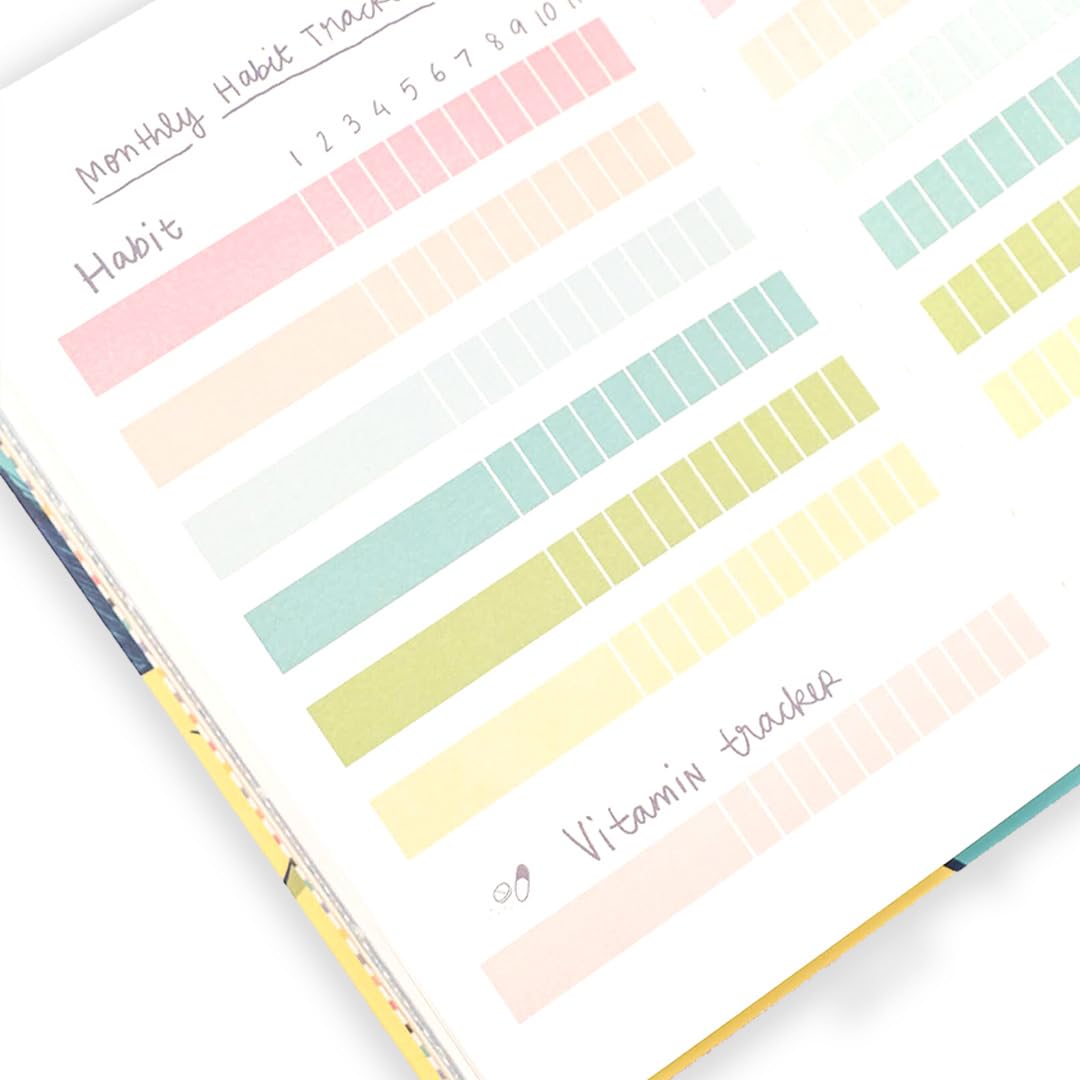 Alicia Souza | Pregnancy Journal Bump Box | Pregnancy Planner + Sticker Book + 20 Milestone Cards + Bookmark | Maternity Diary, Memories Keeper, Trimester Tracker, Gift for New Mom, Pregnancy Gifts